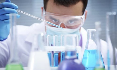 programaCientifico Working in the laboratory